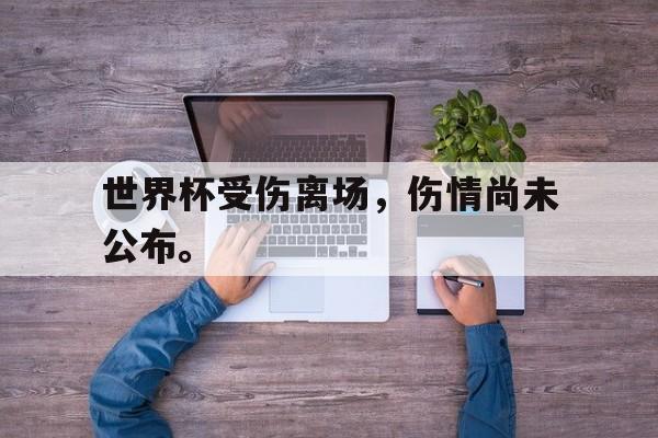 世界杯受伤离场，伤情尚未公布。