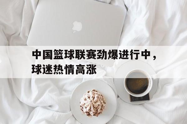 中国篮球联赛劲爆进行中，球迷热情高涨